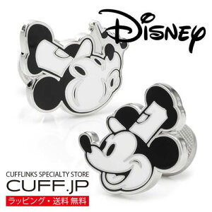 Disney ~bL[ X`[{[gEB[ JtX JtNXYANZT[̒ʔ̃Mtg v[g j  rWlX V ̓ ގ v o^C