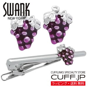 SWANK Vo[ Ԃǂ O[v JtX  lN^Cs ZbgANZT[ YWG[ WG[Mtg v[g j  畞   rWlX X[c Y j