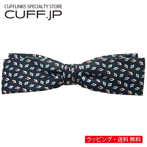 re[W lCr[ _Ch hbg lN^C {E^C ȈՑ^CvANZT[ YWG[ WG[Mtg v[g j  畞   rWlX 