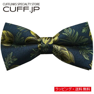 lCr[ CG[ t[ A͗l lN^C {E^C ȈՑ^CvANZT[ YWG[ WG[Mtg v[g j  畞   rWlX X[