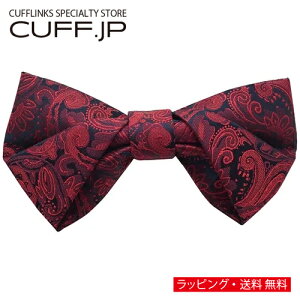 bh lCr[ yCY[ ό` vv lN^C {E^C ȈՑ^CvANZT[ YWG[ WG[Mtg v[g j  畞   rWlX