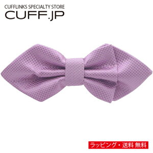 x_[ |Cebh n lN^C {E^C ȈՑ^CvANZT[ YWG[ WG[Mtg v[g j  畞   rWlX X[c 