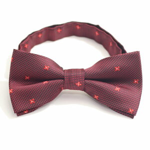 lN^C Y ^b`  bh ԕ {E^C Y  VY X[cANZT[X ̓ Mtgɂ j a v[g v`Mtg   JtX}j