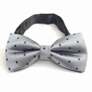 lN^C Y ^b` O[ DF ubN  hbg {E^C Y  VY X[cANZT[X ̓ Mtgɂ j a v[g v`Mtg  