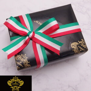 Xܕ IrAR orobianco p bsO X[cANZT[X ̓ Mtgɂ a j v[g v`Mtg  JtX}jA