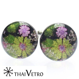 ThaiVetro _ȘaԃfUC CG[̃KXJtX JtX{^ JtNX X[cANZT[X a v[g v`Mtg  JtX}jA