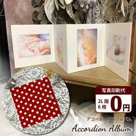 アコーディオンアルバム【レッド/2L版プリント6枚無料】写真プリント 写真ホルダー フォトフレーム 記念写真 子供 ペット 金具付き 壁掛け インテリア かわいい じゃばら ギフト 七五三 卒業 卒園 送別 母の日 父の日 竣工写真 敬老の日