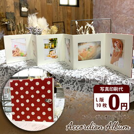 アコーディオンアルバム【 レッド / L版プリント10枚無料】写真プリント 写真ホルダー フォトフレーム 記念写真 子供 ペット 金具付き 壁掛け インテリア かわいい じゃばら ギフト 七五三 卒業 卒園 送別 母の日 父の日 竣工写真 敬老の日