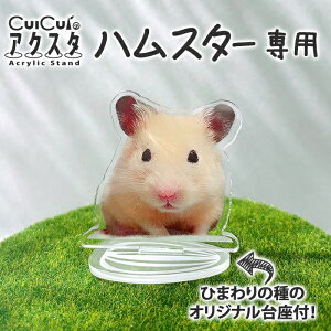 nX^[p ANX^h y ő8cm zIWi 쐬  I[_[Ch nX^[ ybg Ђ܂ ʐ^  v[g Mtg 킢