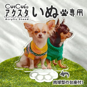 Ckp ANX^h y 8cm`12cm zIWi ANX^ 쐬 I[_[Ch   ybg  ʐ^  v[g Mtg 킢