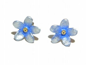 楽天市場 オキシペタラム ブルースター 花言葉の通販 楽天市場 オキシペタラム ブルースター 花言葉の通販
