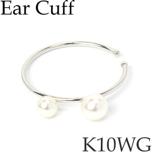 C[Jt C[JtX CJt CO W^ Ўp d˕t  ͂ ɂȂ mz[ Vv fB[X10KzCgS[h K10WG 10KWG 10 {  悠 