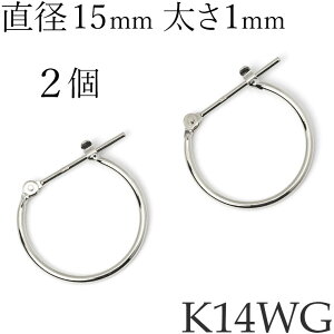 [p] 2 [Ўp] 1 t[vsAX K14zCgS[h v`i900 n 1mm pCv a15mm G^ Ւf OsAX t[v 14 K14WG 14KWG Pt900 { [ma][2025-03]