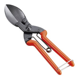 SUWADA@ڂnp@ڂ@BKB-05[֘AFzKc쏊 Ɩp {  Lb`oT~ _  S n nT~ J{` XCJ ʂ˂ ɂɂ]