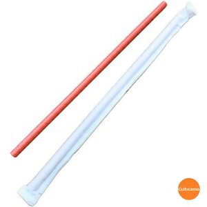 Xg[@ԁ@ܓ@500{@EST-65[֘AFOa Ɩp t@[Xgt[h JtF ĝ y[p[Xg[  GR]