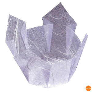 ʁ@OP@@200@66393@_@QTV-38[֘A:}R[ Ɩp Օi  opi tBP[X Jbv   t[hP[X ze  ȗ 