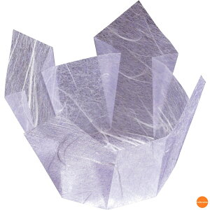 ʁ@OP@@100@66400@_@QTV-39[֘A:}R[ Ɩp Օi  opi tBP[X Jbv   t[hP[X ze  ȗ 