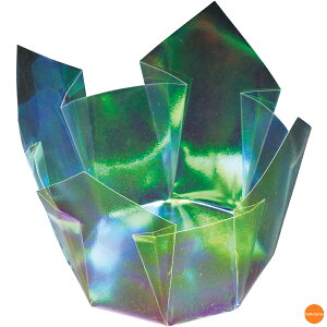 ʁ@OP@@100@66404@I[@QTV-39[֘A:}R[ Ɩp Օi  opi tBP[X Jbv   t[hP[X ze  ȗ 