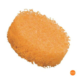 ܂߂@Lb`N[PRO@tCpEpnfB@XyA@KB-635@JTW-G9[֘AFmameita |pi { Lb` X|W uV 킵   tCp]