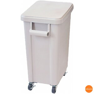 X@~[pLX^[y[@WErt@45^@O[@KDS-85m֘AFRISU Ɩp |pi S~ _Xg{bNX L[ lCi R  ֗n