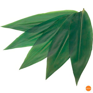 ^t@5141@S@100@XOI-30[֘A:X Ɩp Օi  VR ̗t  aَq cq i ܂ ċ hg o]