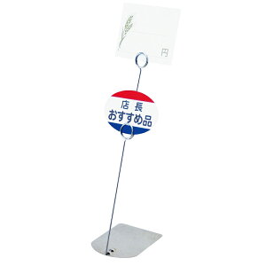 XeX@2iOX^h@25cm@ER-25-DS@PST-F9[֘AF悵^H[ Ɩp { i TC ̑pi vCXJ[h j[ |bvX^h X[p[ ʔ̓X Vbv oCL