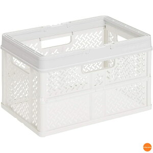 vtBbNX@܂肽݃oXPbg@nht@L@29L@X[L[zCg@ABS-38[֘AFVn PROfix  CeA Ƌ Rei [{bNX P[X JS VbsOoX