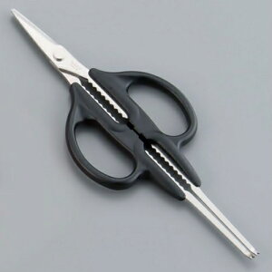 JjtH[NnT~@BKN-21[֘AF}tWR쏊  nT~ I  ͂ IoT~ JjtH[N]