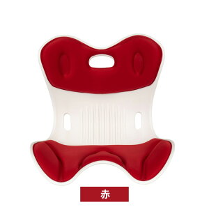 y5̓聚Si10%OFFP5zZbg ֎q ՃT|[g`FA Ղ獘T|[g [ p y ^ъȒP ֎q⏰ɒuč邾 LwP ŒŊԔw