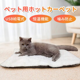 【★スーパーセール★全品10%OFF】ペットヒーター ペット用ホットカーペット 猫 犬 用 ペット用ヒーター カバー ヒーターマット 電気パット 噛み付く防止 ペット用電気毛布 ペット 小動物 うさぎ ペット 防寒 過熱保護 寒さ対策 暖房器具 省エネ 厚手 安全 防水