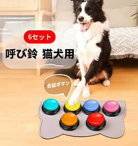 yڊӁSi10%OFFP5z R~jP[V{^ b{^ {^ 6Zbg ^{^ L^\ ybgb{^ ybgp^{^Zbg 30b^Đ L