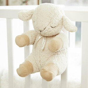 NEhr[ X[vV[vicloud bj j v[g Mtgʂ  oYj