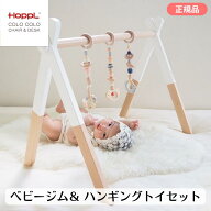 HOPPL ホップル ベビージム＆ハンギングトイセット ベビージム プレイジム アクティビティジム 木製おも…