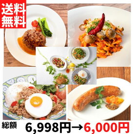 洋食エスニックの詰め合わせセット 【送料無料】【冷凍】 ■ タイソース ガパオミート 和風ハンバーグ チョリソーソーセージ 生パスタ ディアボロネーゼ お得 大容量 取り寄せ ガパオライス タイ料理 簡単調理 洋食 大豆ミート 低脂質 高タンパク 健康食 スパイシー グルメ