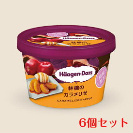 楽天市場 ハーゲンダッツ 6個の通販