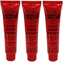 【3本セット】ルーカスポーポークリーム 25g オイントメント チューブ 保湿クリーム パパイヤ天然成分配合 オーストラ…