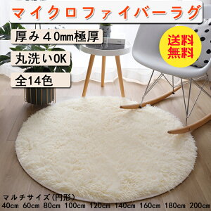 yzO ~` 􂦂  }`TCY Tӂ }CNt@Co[ VM[O O}bg O~ ی^ k  J[ybg 킢 S14F@a60cm