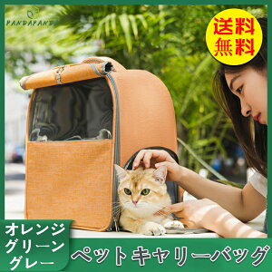 yzybgL[obO ybgL[P[X ybgL[ bN obNpbN ԍ 킢 y  L o IW O[ O[