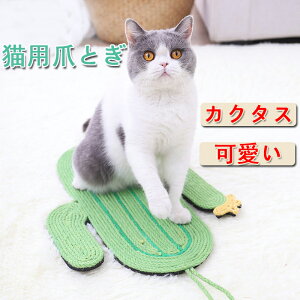 yzLp ܌ T{e܂Ƃ}bg L܌ ߂Ƃ L ˂  ܂Ƃh~ ܂ƂJ[ybg ܂₷ ܖ JJ Lxbh L ϋv ܖ LXNb