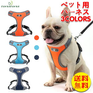 yz n[lX n[lX  pn[lX ̃n[lX  킢 [h q ^ ^ EȂ [hZbg ȒP K AWX