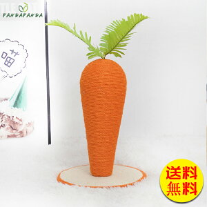 yzL ܂Ƃ ɂ񂶂 Lp ܌ ܖ Lbg|[ L̂ lQ^ VRTCU Ƌ\t@ی  XgX ^s L ܂Ƃ TCY M 30cm30cm43cm