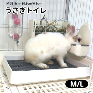 yz gC 傫 XmR P[Wɓ  lp` bVXmRt `` ETM tbggC ETMpi@ g[ gCg[jOɍœK  