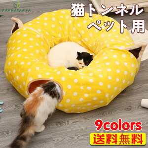 yzL gl L nEX Vя h[^ xbhL 炵t ܂݉ ǔ 9Fo LV Lp Lbgg[jOybg  