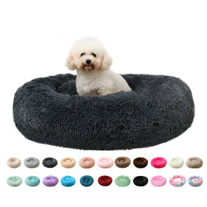 yzybgpxbh }bg NbV ybgxbh t H ~ Q Lxbh xbh Lp g ybgnEX  ǂ  ~΍ 60cm S20F p 