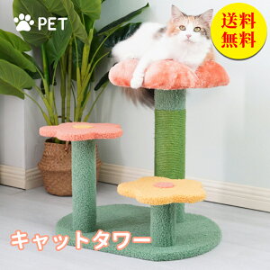 yzLbg^[ u^ Ԍ^ Lp܂Ƃ|[ ܂Ƃ^[ lR|[  芪   ߂Ƃ gȒP Vѓ Lpi 2 X^C