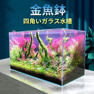 yz  lp  KXe ANZT[ ItBX@\  EgzCgKX  KX ACe I ƒ ڎ cƏ eE