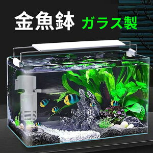 yz  lp KXe ANZT[ ItBX@\  EgzCgKX  KX ACe I ƒ ڎ cƏ eE 