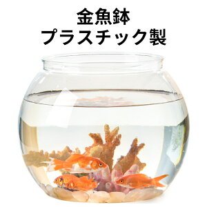 yz  ی^  vX`bN     ~j @\ ϗtA e e  ACe ANAE ƒ ڎ cƏ x^ _J AJq