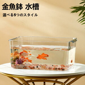 yz  ~`  vX`bNe   ~j @\ ϗtA e e  ACe ANAE ƒ ڎ  x^ _J A