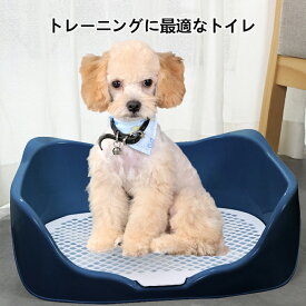 【送料無料】犬トイレトレー レギュラー メッシュ 足が濡れない 飛び散り防止 いぬペット スーパーワイド 高床式 トイレ フチもれしにくい トレーニング ペットトレー 本体しつけ トイレトレーニング 子犬 小型犬 中型犬 犬用 ワイド 長さ40×幅36×高さ14cm